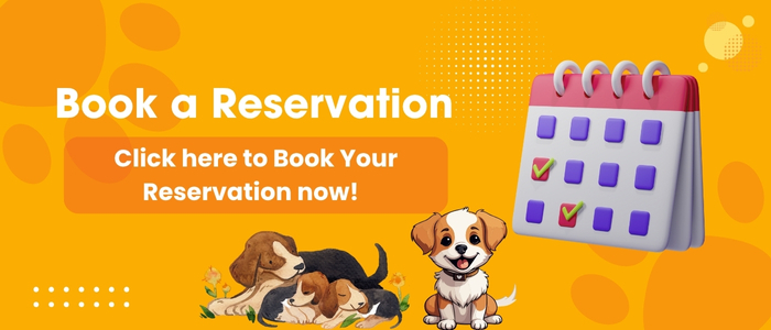Book a Reservation