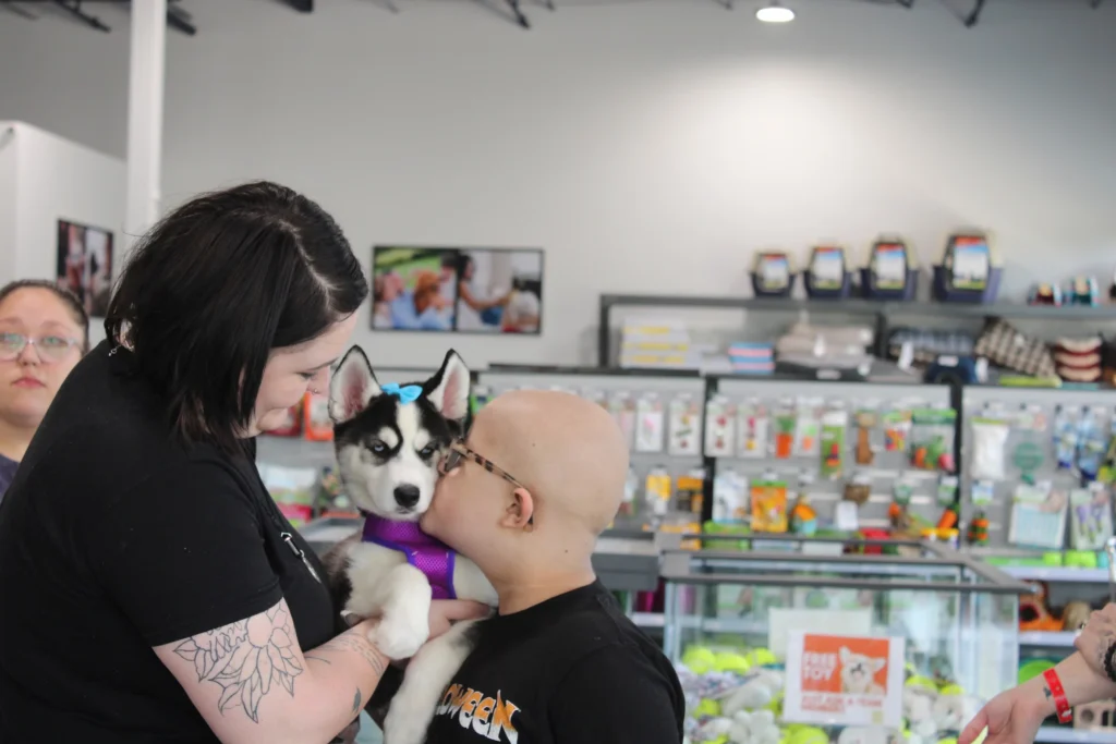 fd225a_a954abce8a92441fbfb063d0b93474a0~mv2