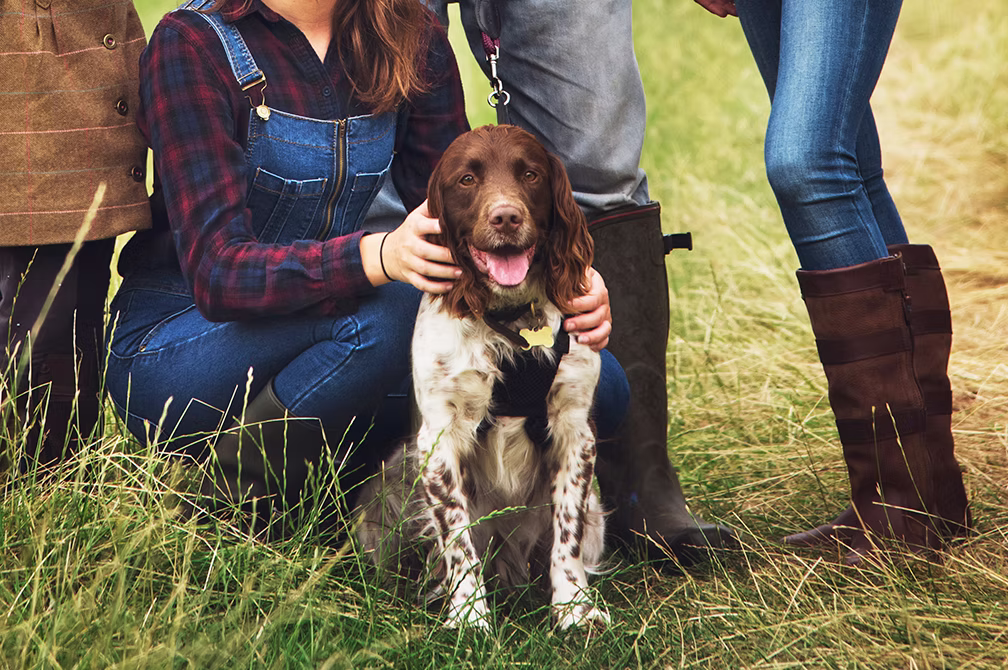 Dogs of US Presidents