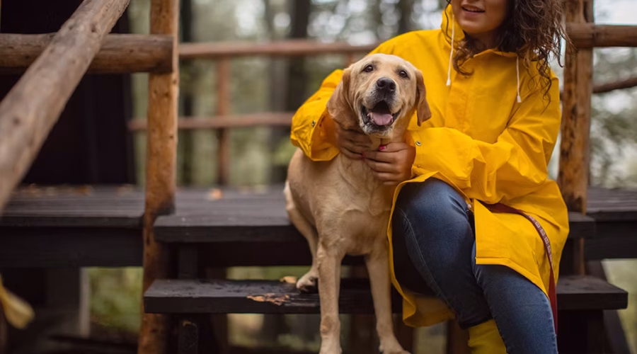 A dog finding his way back from a long journey!