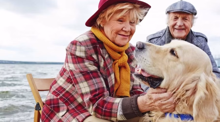 Mental Health Repair- A Puppy Helps An Older Adult with Loneliness.