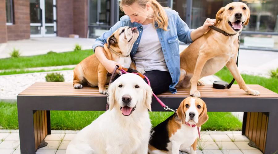 Take Your Dog Out To Eat This Weekend.