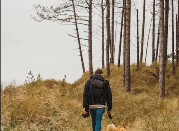 How to Travel with Your Pomeranian Puppy: Tips for a Stress-Free Trip