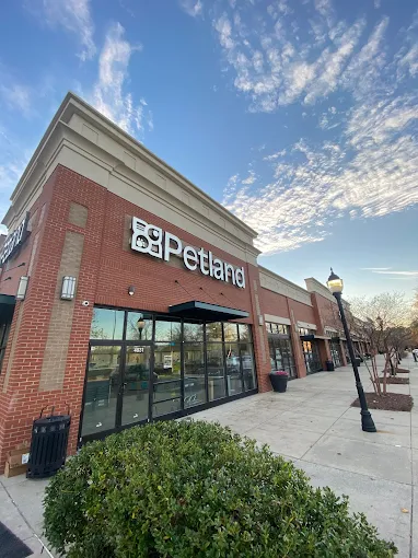 Welcome to Petland Raleigh South Carolina