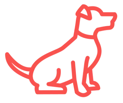 Available Puppies-Petland Raleigh