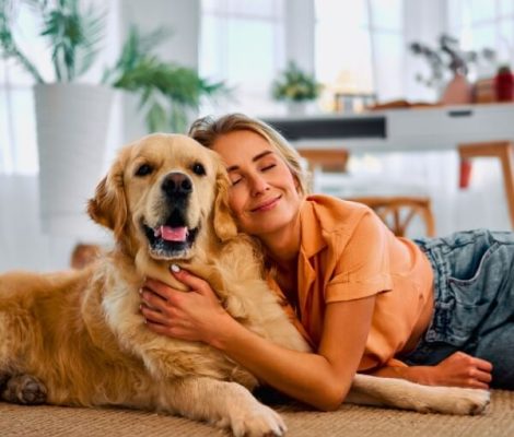 Explore Flexible Financing Plans-Petland Raleigh