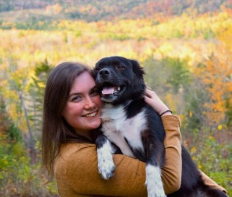 Take Your Puppy Home Today-Petland Raleigh