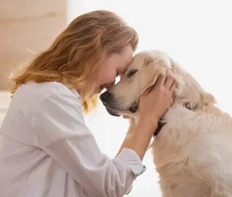 Choose Your Perfect Petland raleigh
