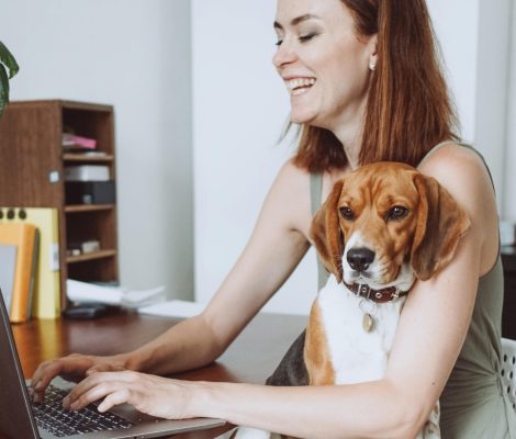 Principles-Petland Raleigh